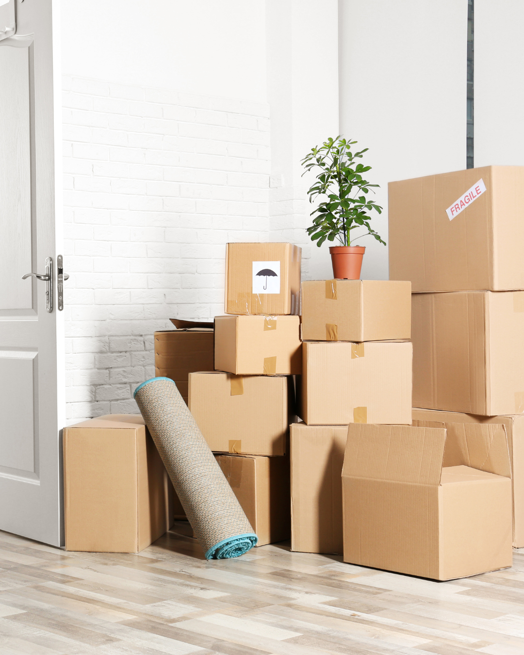 your box store 